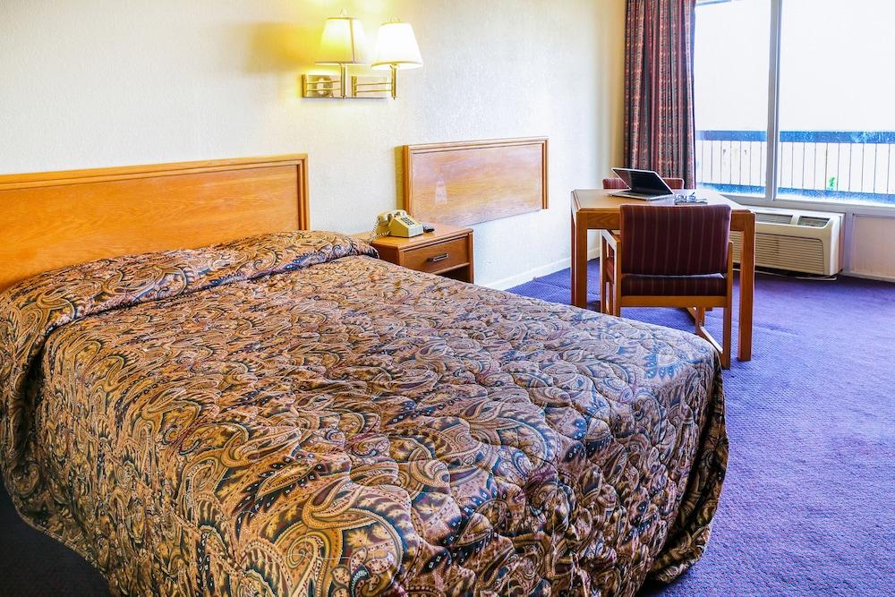 Springwood Hotel photo 20