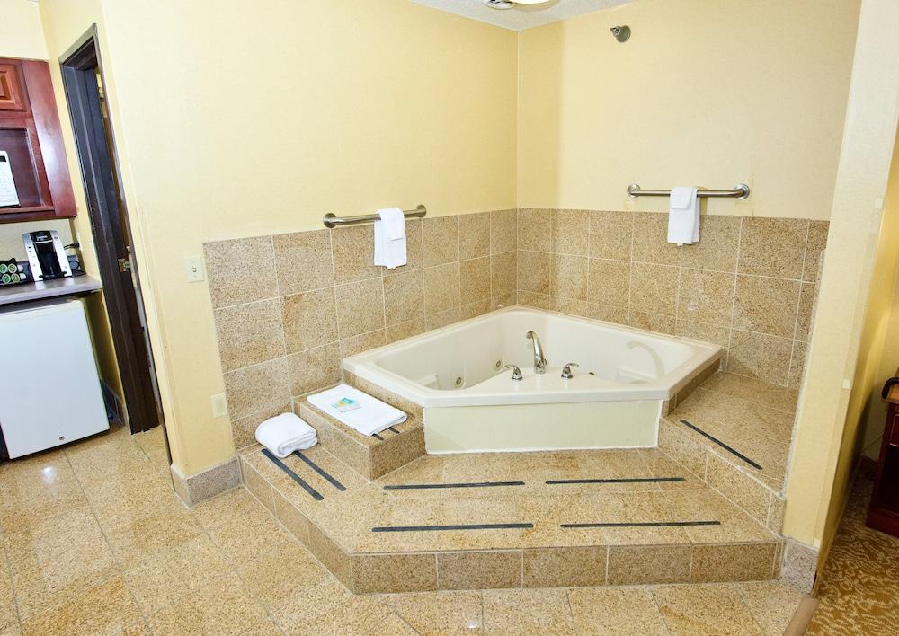 Holiday Inn Express & Suites St. Louis West - Fenton by IHG photo 42