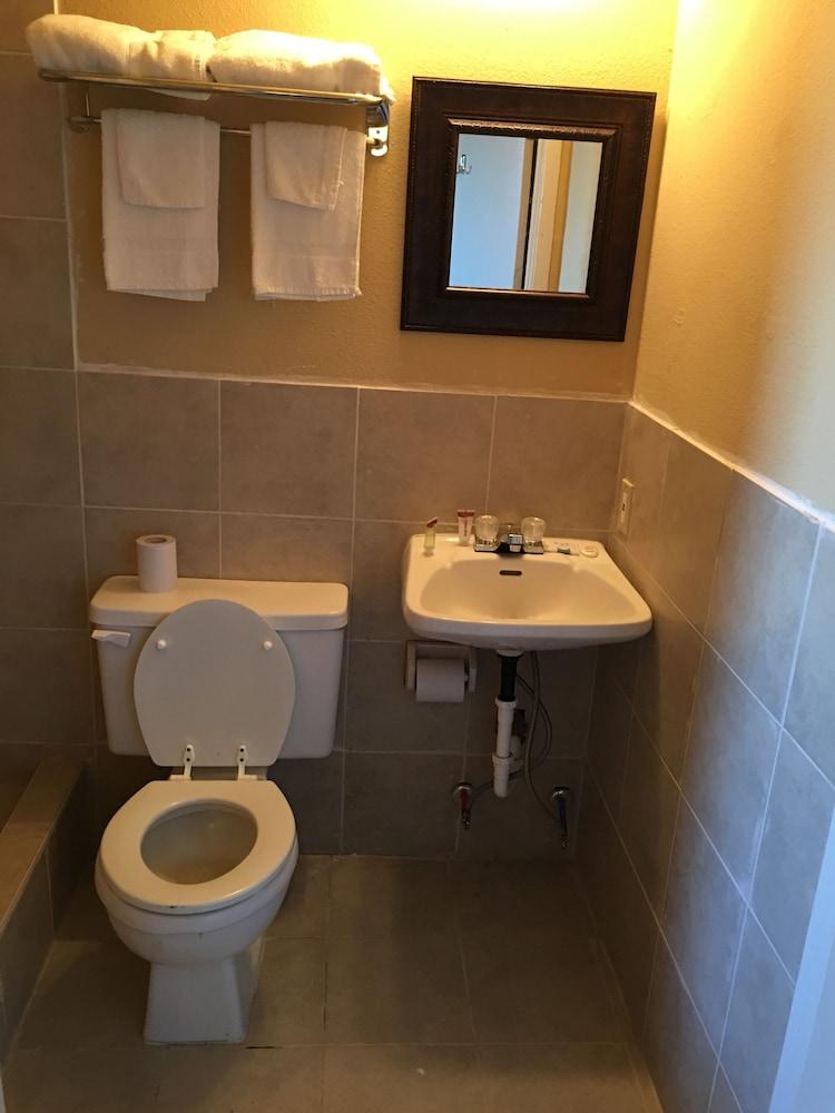 Reddy Inn and Suites photo 29