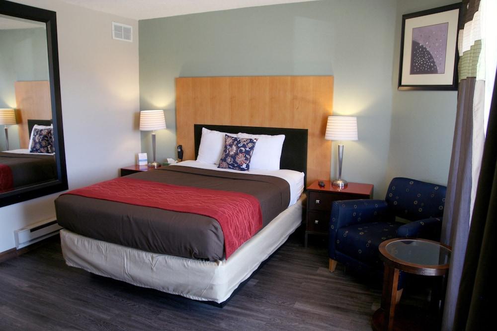 South T Motel photo 10