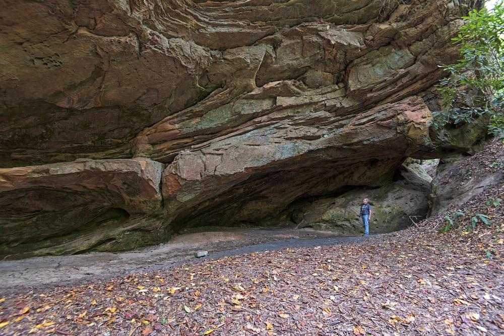 Pine Mountain State Resort Park photo 14