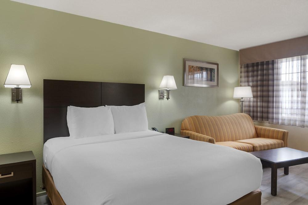 University Inn & Suites photo 7