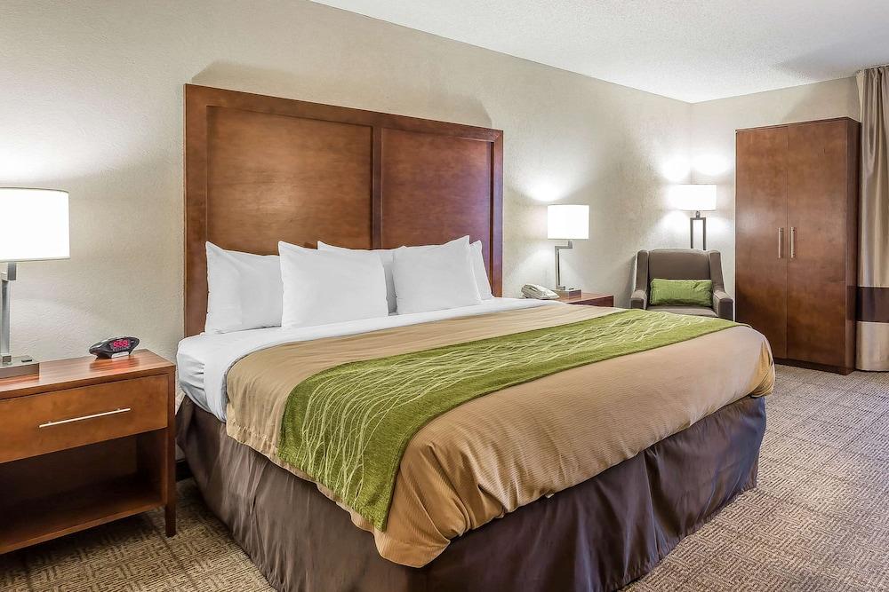 Quality Inn Summerville - Charleston photo 13