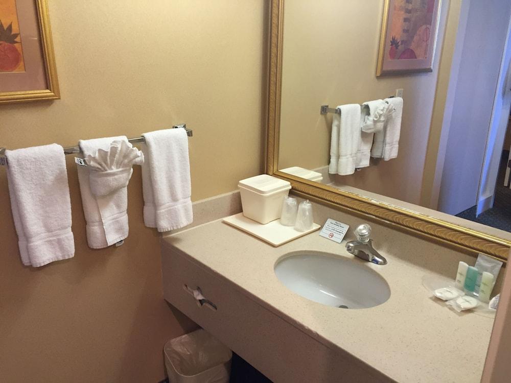 Comfort Suites Oakbrook Terrace near Oakbrook Center photo 29