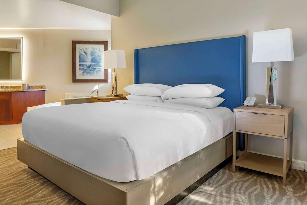 Hilton Grand Vacations Club SeaWorld® Orlando photo 8