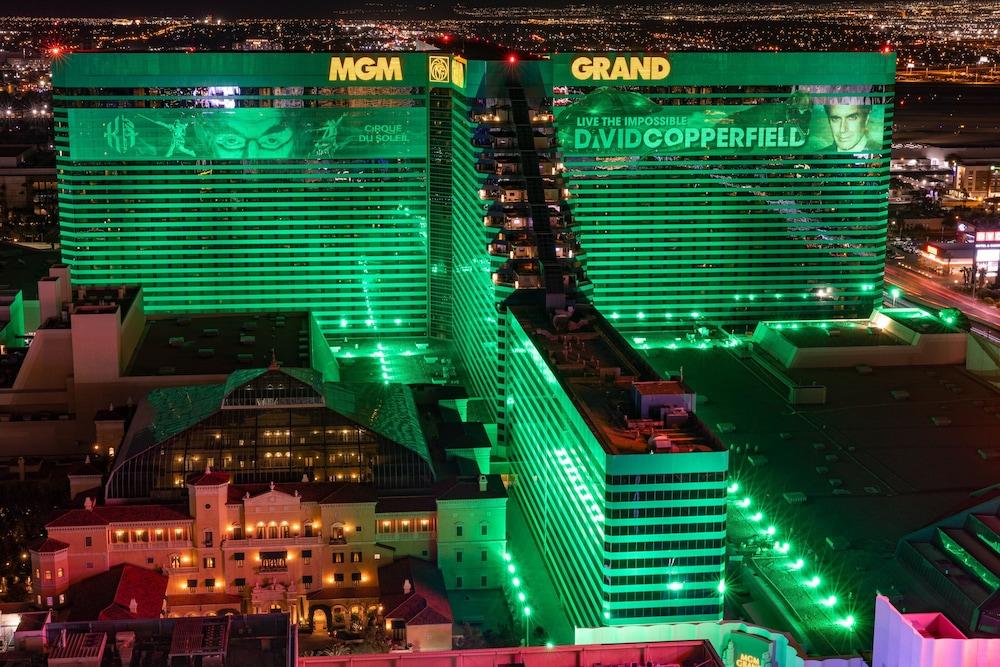 MGM Grand Hotel & Casino photo 93