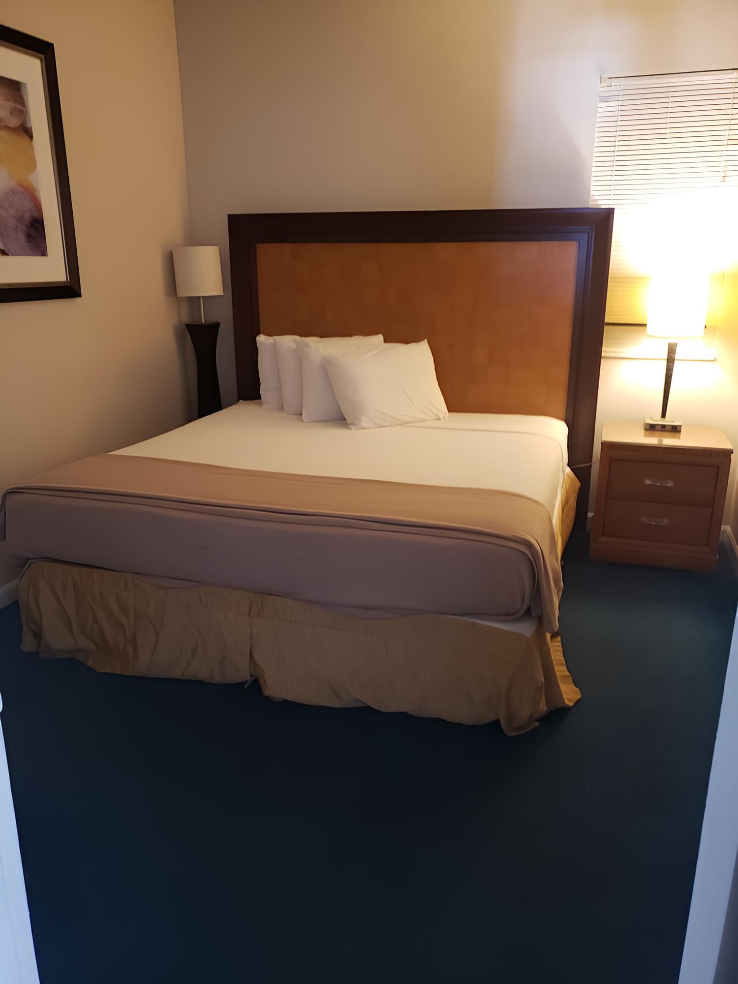 Beach Quarters Daytona photo 19