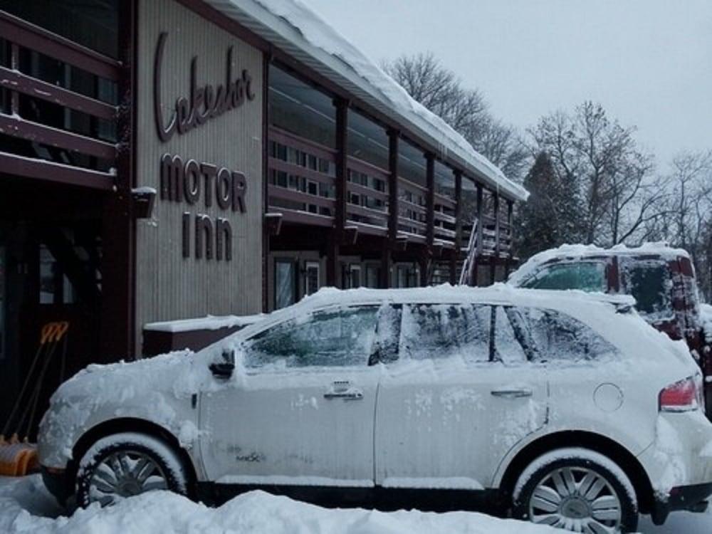 Lakeshor Motor Inn photo 6