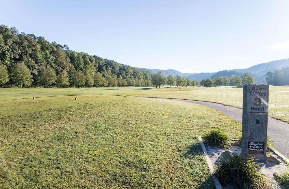 Pine Mountain State Resort Park photo 36