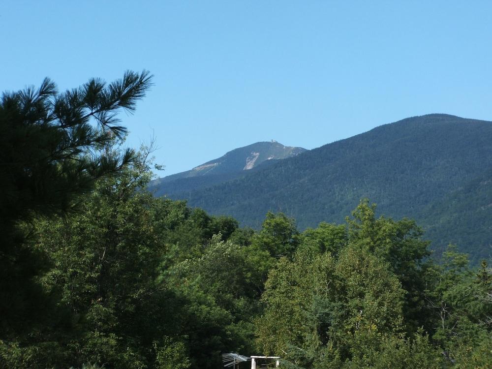 Mountain Brook Lodge photo 8