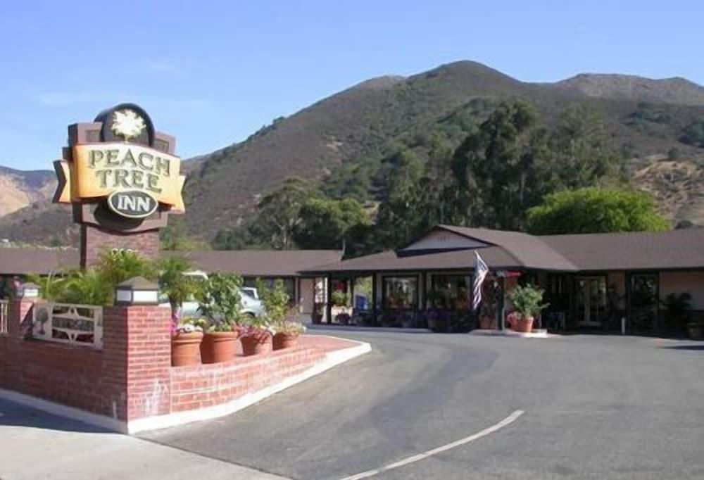 Peach Tree Inn photo 32