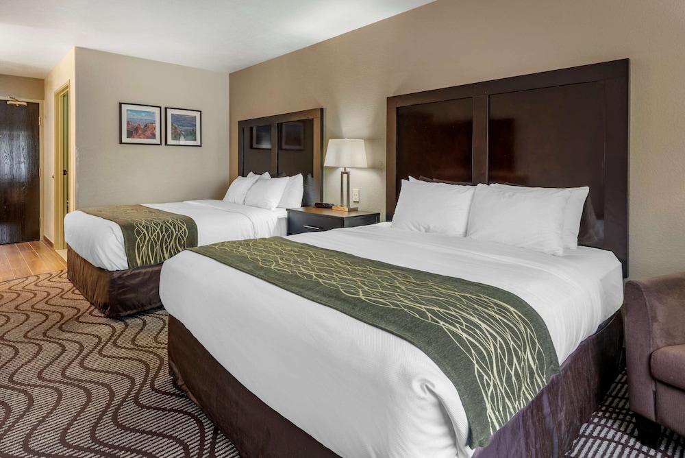 Comfort Inn & Suites Fruita - Grand Junction photo 23