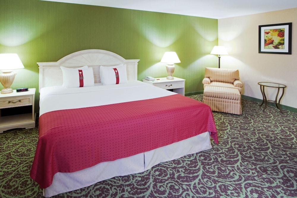 Holiday Inn Chantilly-Dulles Expo Center by IHG photo 13