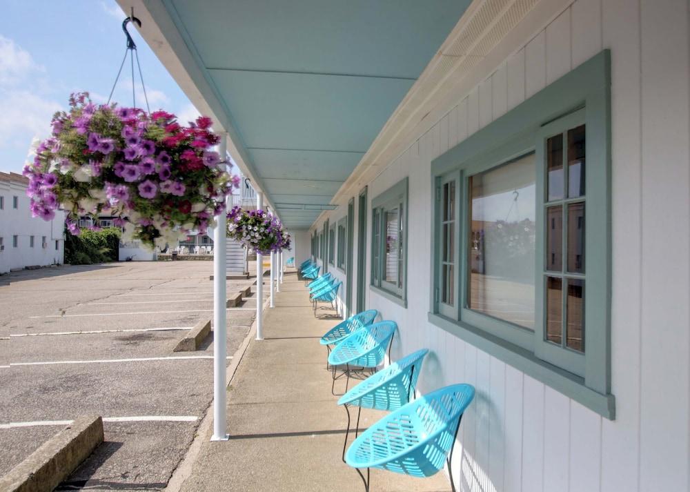 Dolphyn Motel photo 7