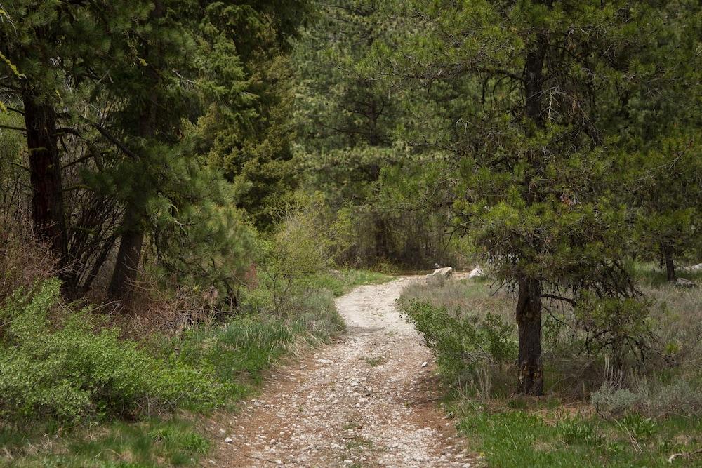 Sawtooth Lodge photo 68
