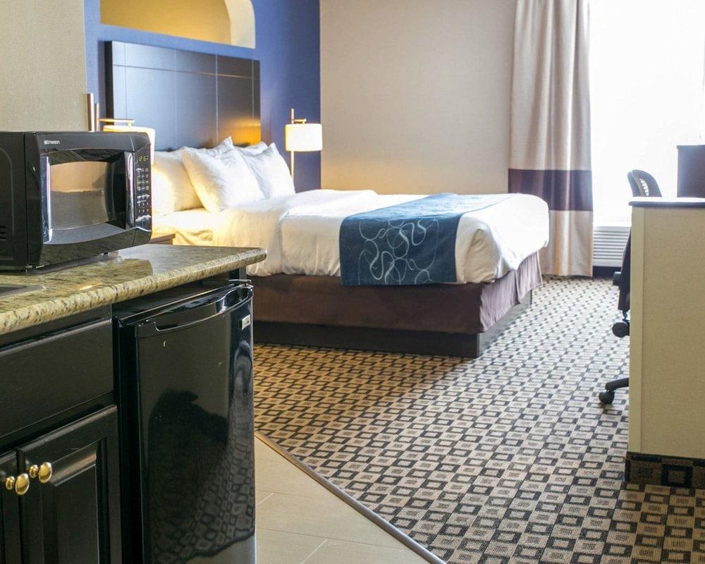 Comfort Suites Benton Harbor - St. Joseph photo 12