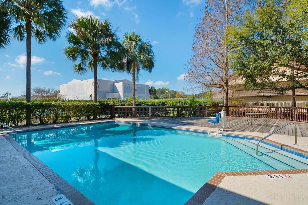 Rodeway Inn Tampa near Busch Gardens - USF photo 3