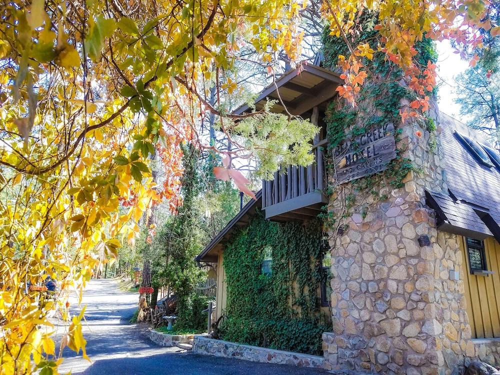 Bear Creek Motel And Cabins — hotel in Silver City