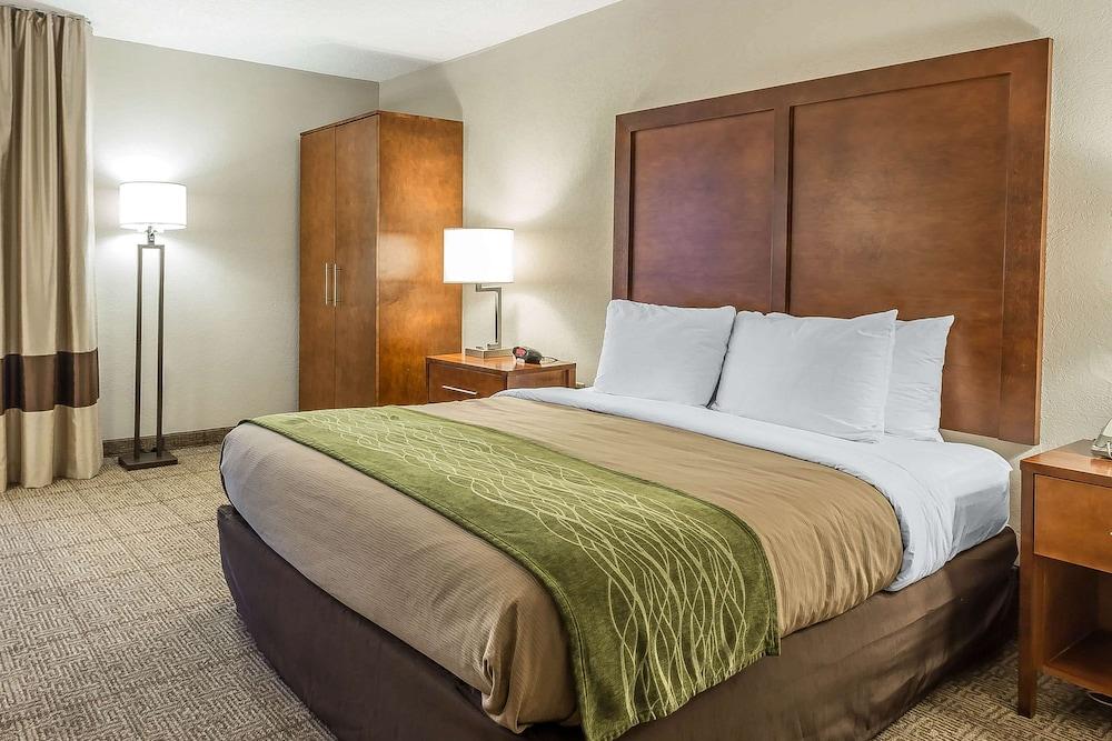 Quality Inn Summerville - Charleston photo 7