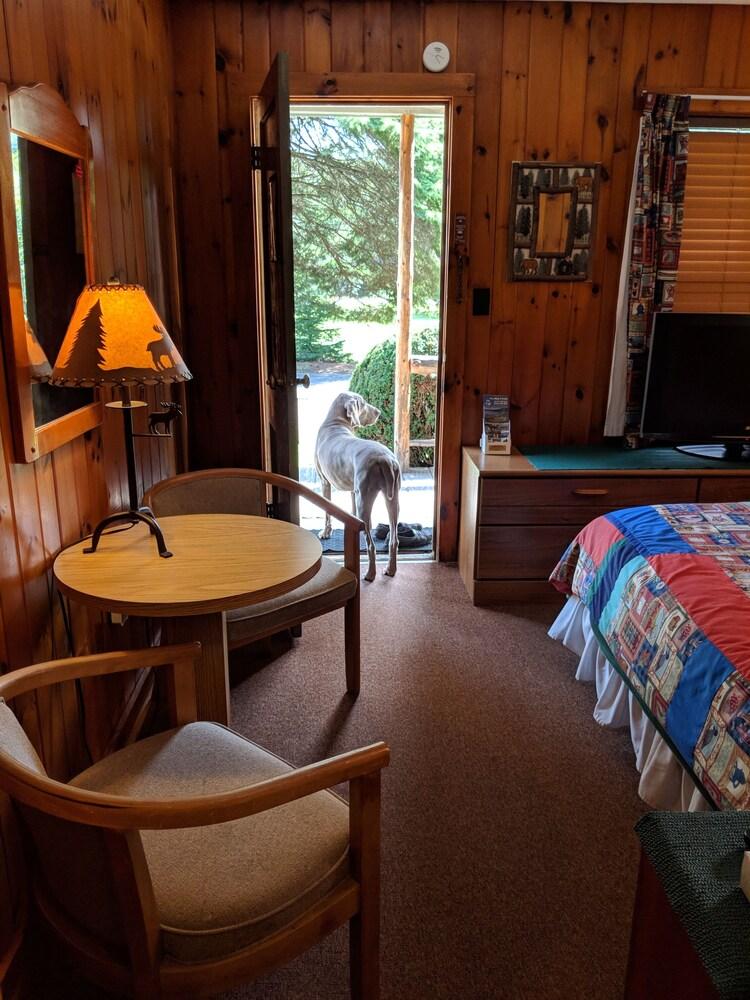 Pine Tree Motel & Cabins photo 7