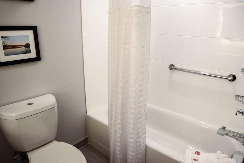 Comfort Suites Gainesville near University photo 12