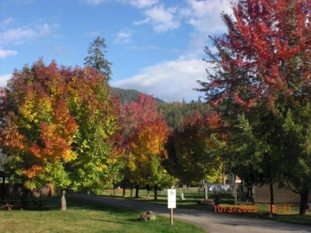 Clark Fork Lodge photo 19