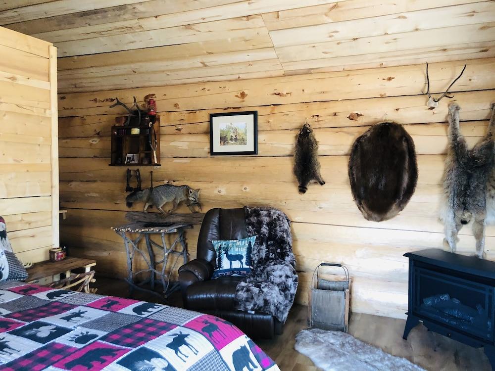 Wrangell Mountain Lodge photo 47