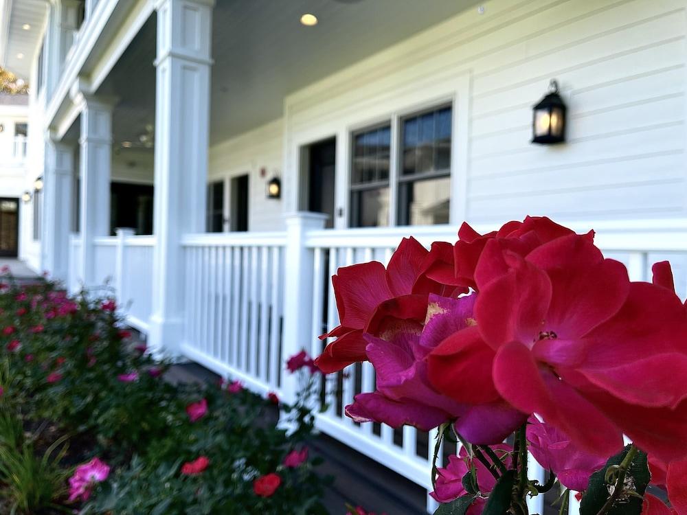 The Belfry House photo 2