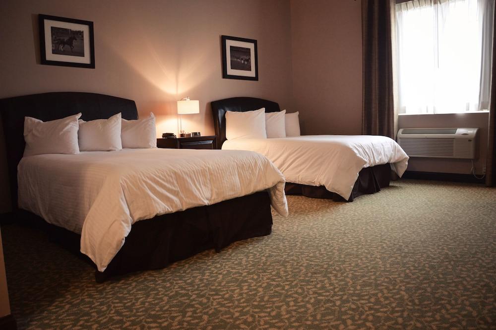 Belvedere Inn photo 17