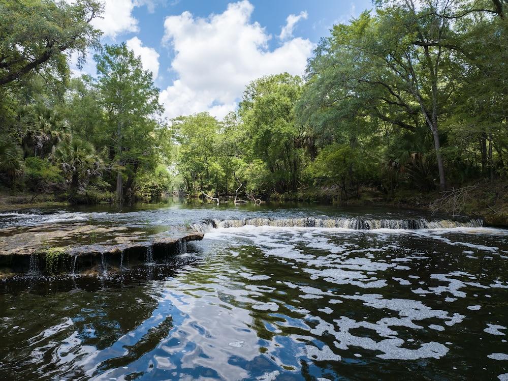 Steinhatchee River Inn photo 66
