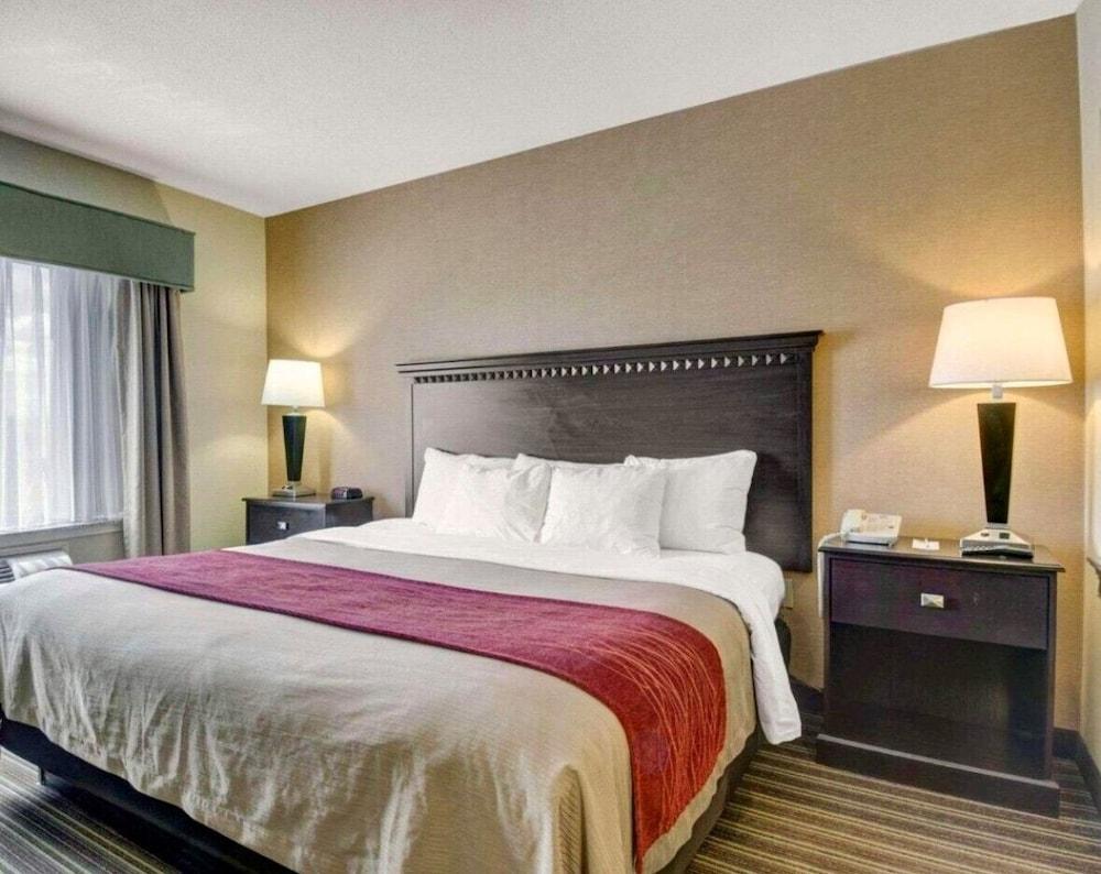 Spark by Hilton Woburn Boston photo 5