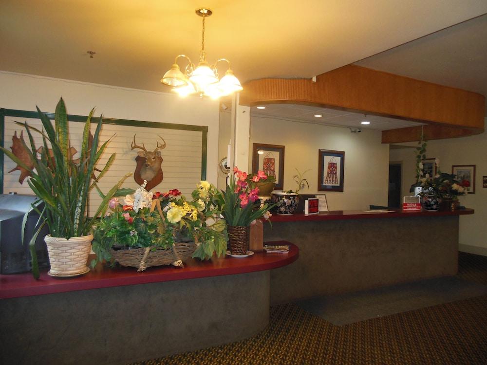 Chelsea Inn Hotel photo 8