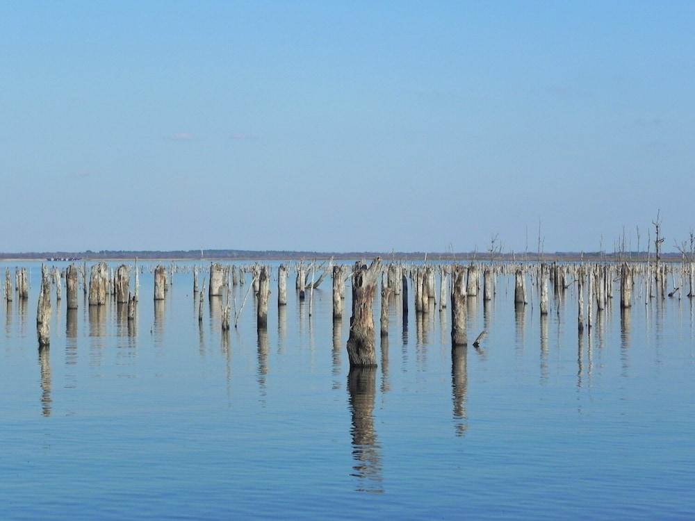 Pope's Landing Marina photo 21