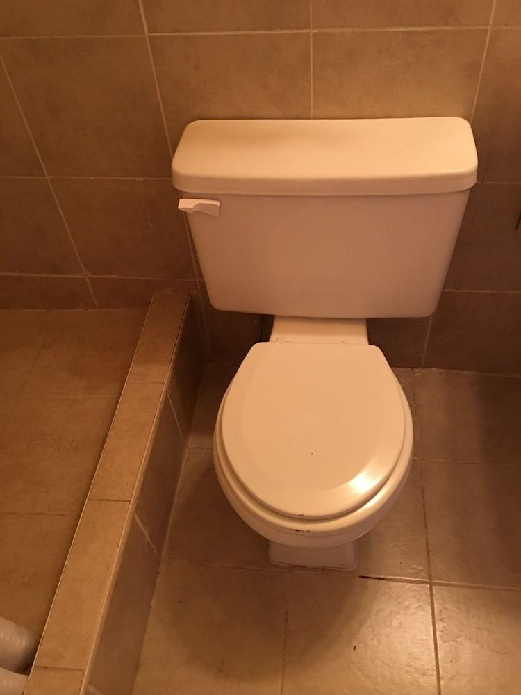 Reddy Inn and Suites photo 31