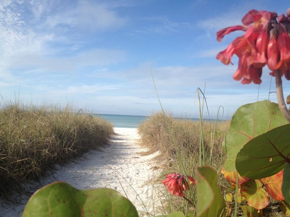 Siesta Palms By the Beach photo 18