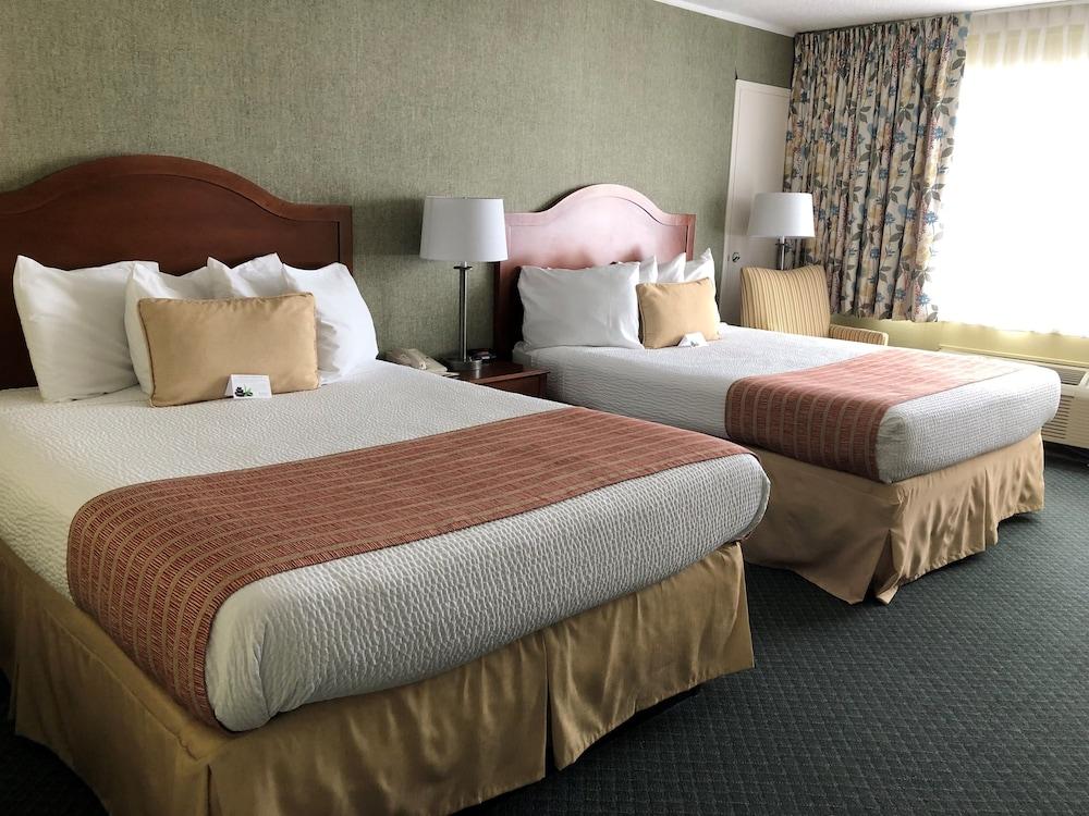 Pier 4 Hotel photo 14