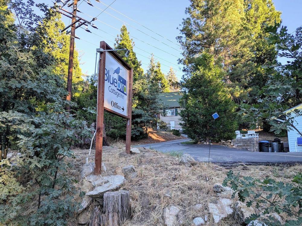 Bluebird Cottage Inn photo 34