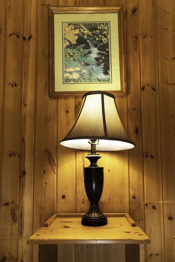 Ruttger's Birchmont Lodge photo 24
