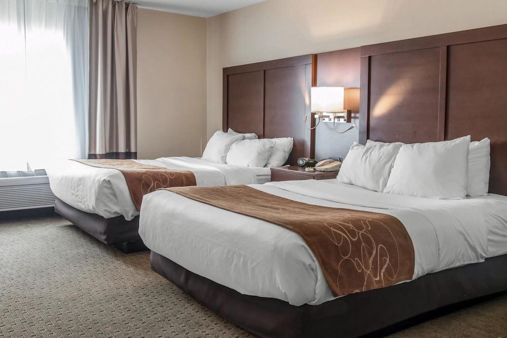 Comfort Suites Wixom - Novi photo 18