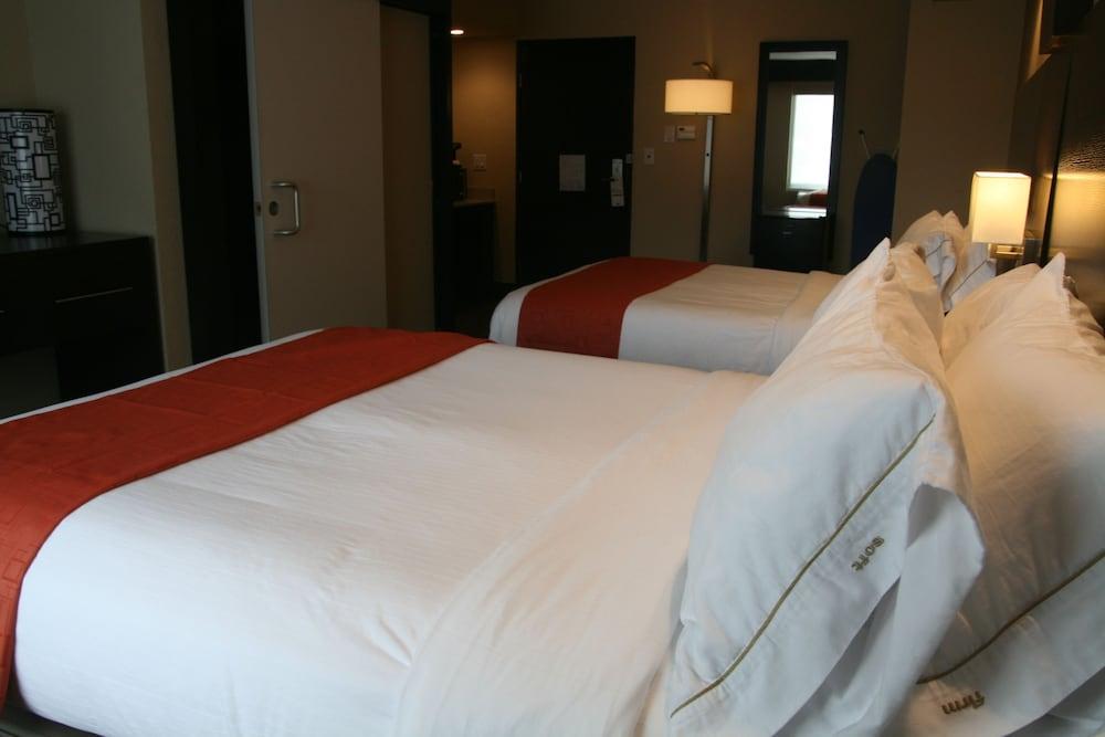 Holiday Inn Express & Suites San Antonio Medical-Six Flags by IHG photo 21