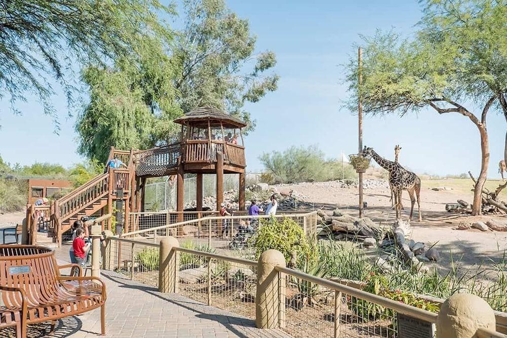 Tempe Oasis photo 23