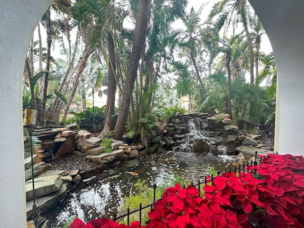 Tahitian Inn photo 62
