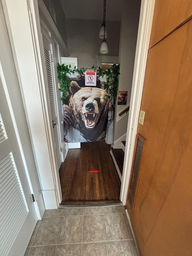 Cozy Bears Bunker's & Carpe Diem Spa photo 19