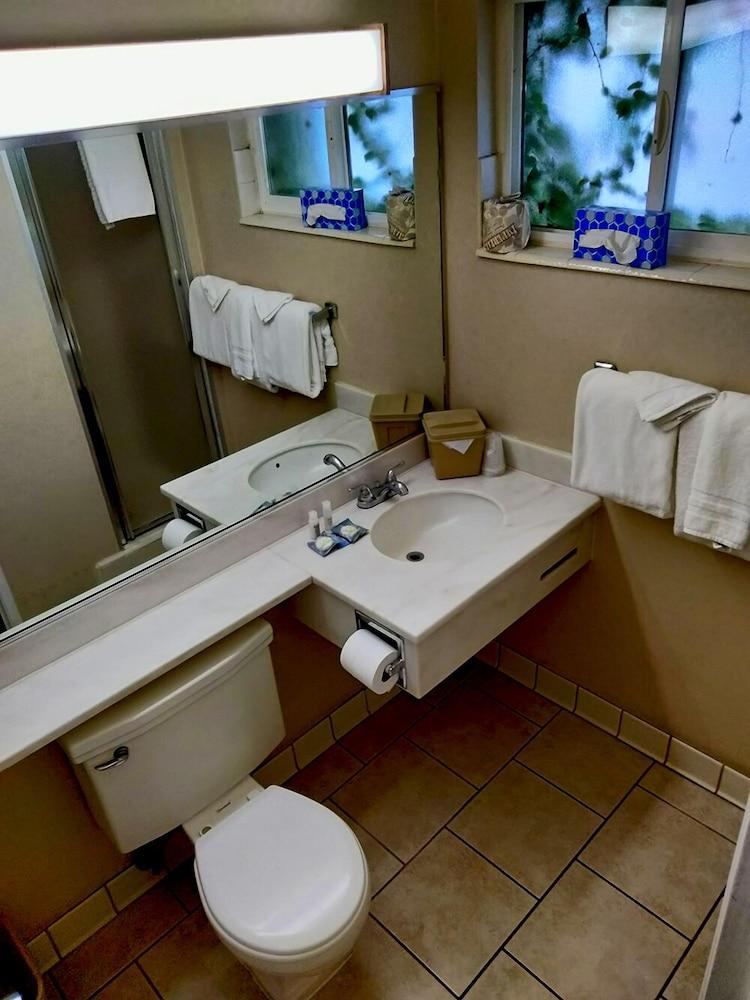 The Metropolitan Inn photo 5