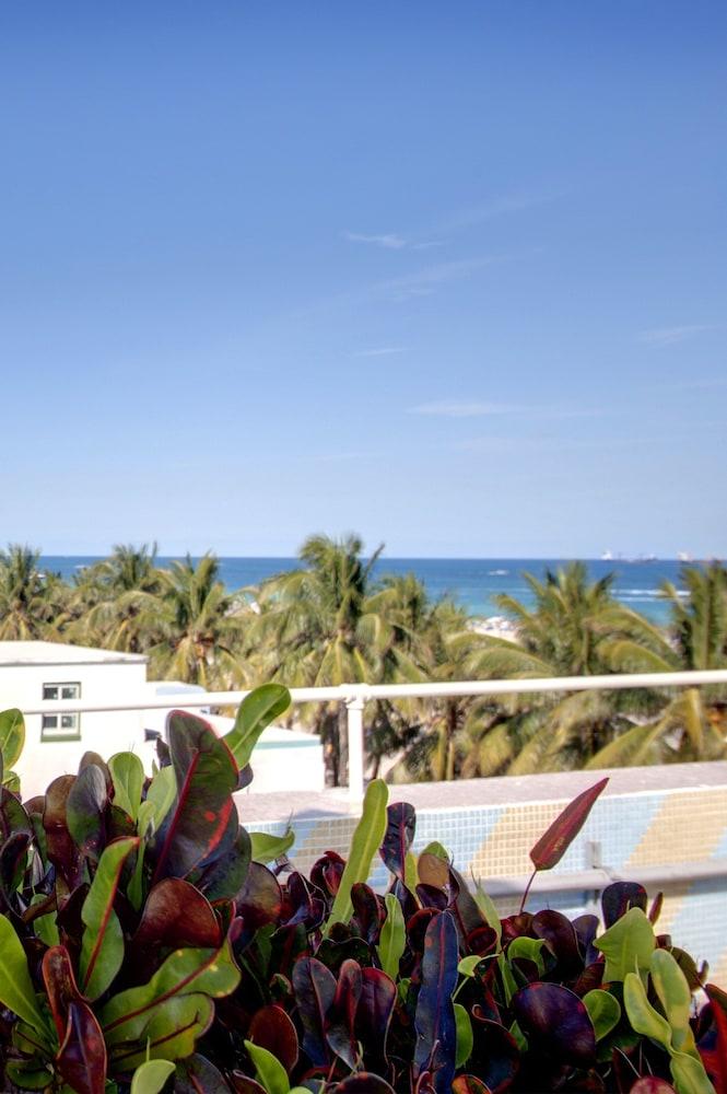 Beacon Hotel South Beach photo 9