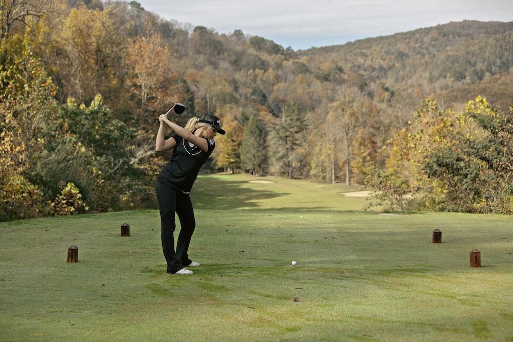 Pine Mountain State Resort Park photo 18