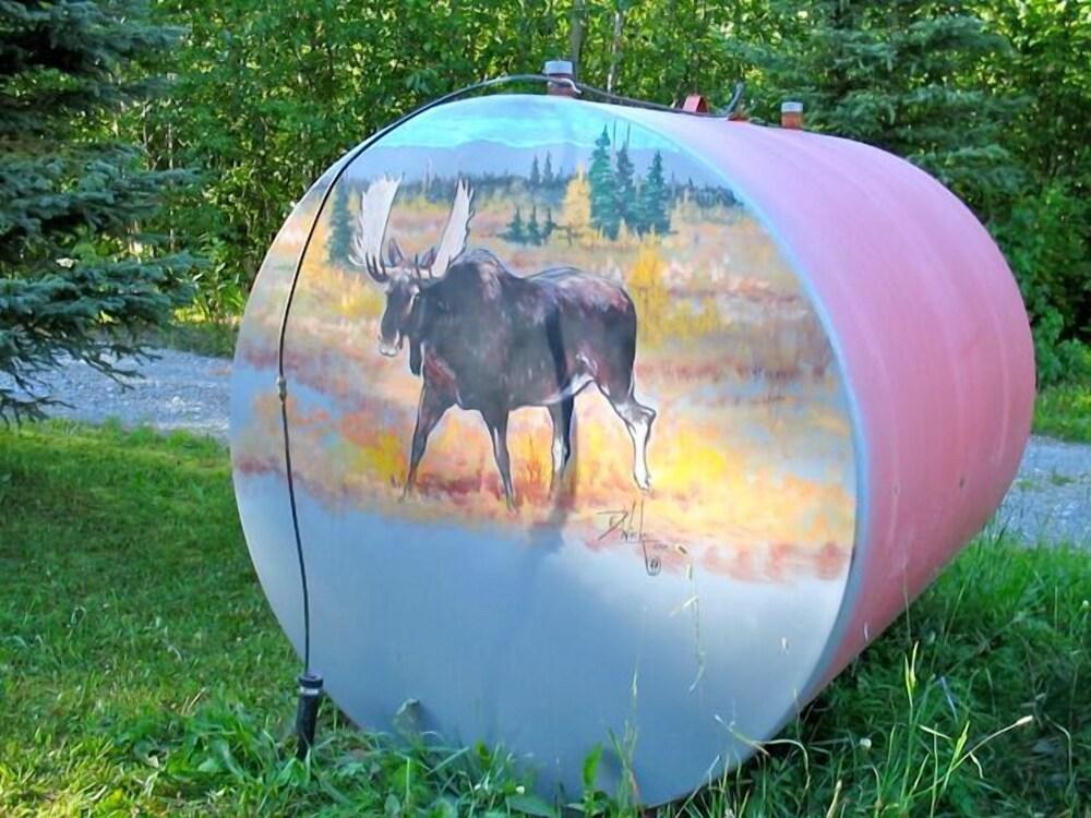 Swiss Alaska Inn photo 21