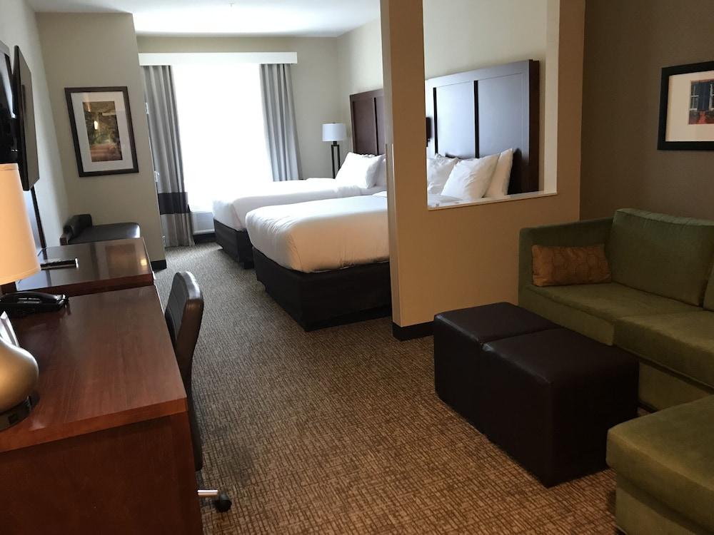 Comfort Suites Summerville photo 13