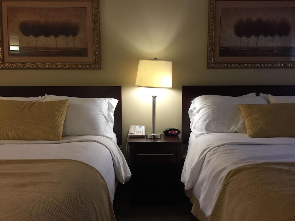 Travelodge by Wyndham Presidio San Francisco photo 30