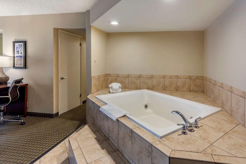 Comfort Inn & Suites Rochelle - DeKalb photo 55